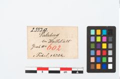 Etikett zu Bronzebrillenfibel (NHMW-PRAE-025529)
